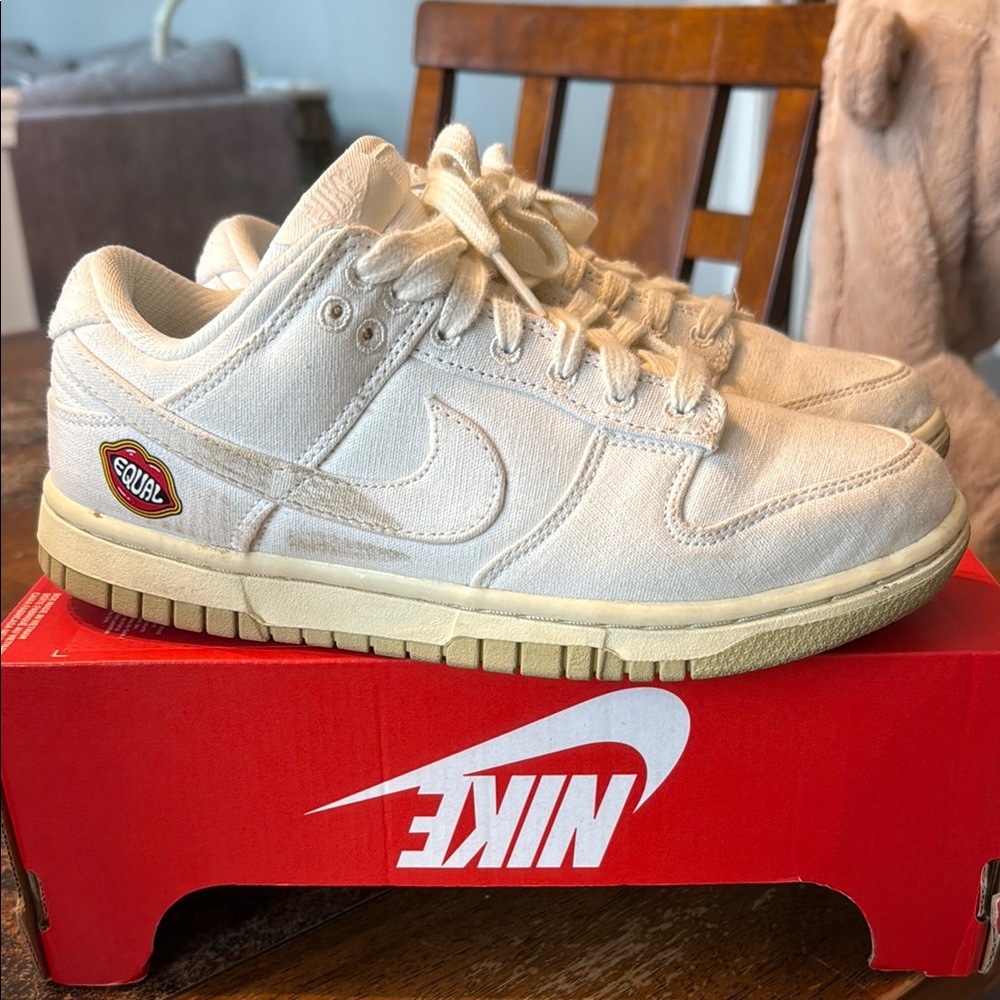 Nike “The Future is Equal” Dunk Low